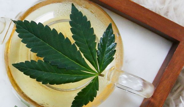 10 Things Seniors should know about Medical Marijuana